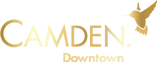 Camden Downtown Apartments in Irvine